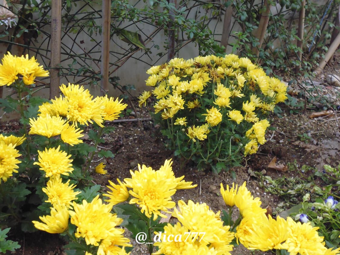 파나소닉 DMC-FH10 디카 풀박스 상품이미지7