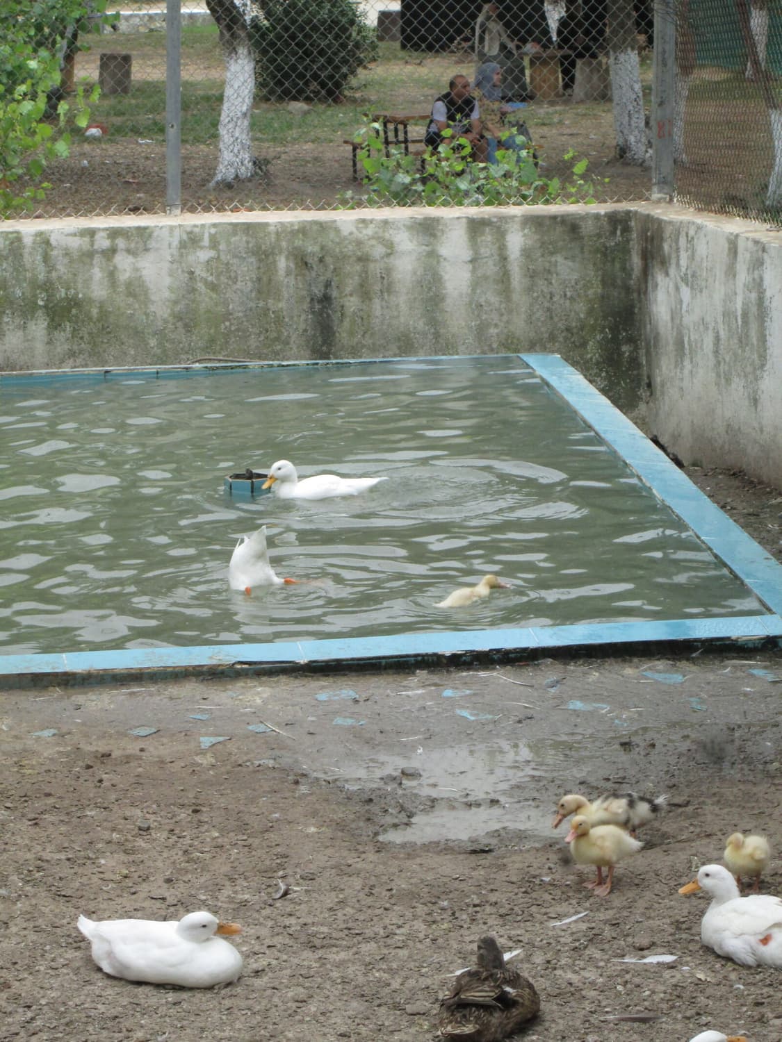 [초보추천&뽀용!] 캐논 파워샷 A2300 디지털카메라 상품이미지8