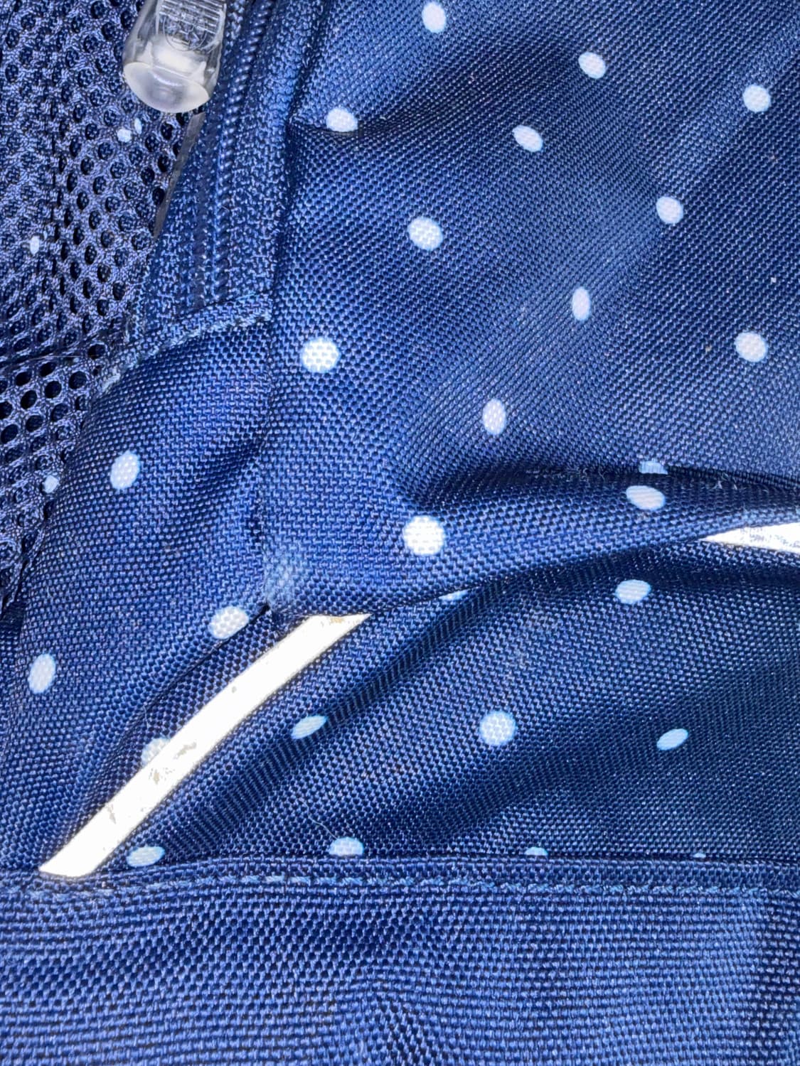 콜맨 도트 백팩💙 상품이미지5