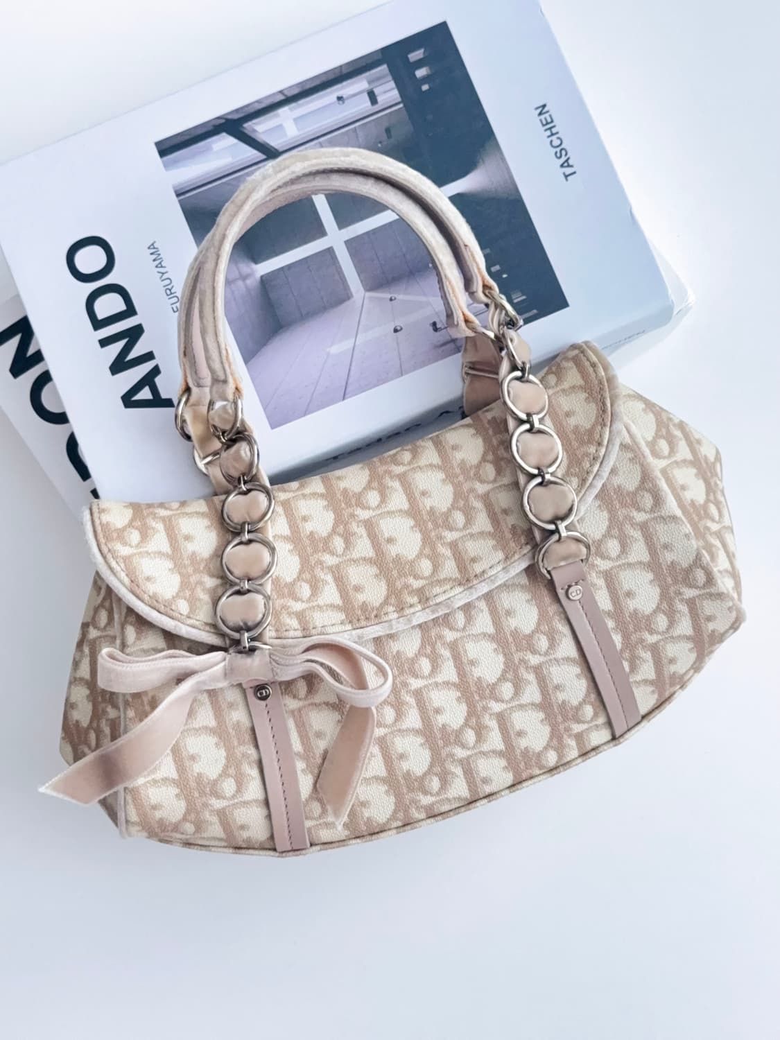 디올 오블리크 로맨틱 미니 토트백 상품이미지2