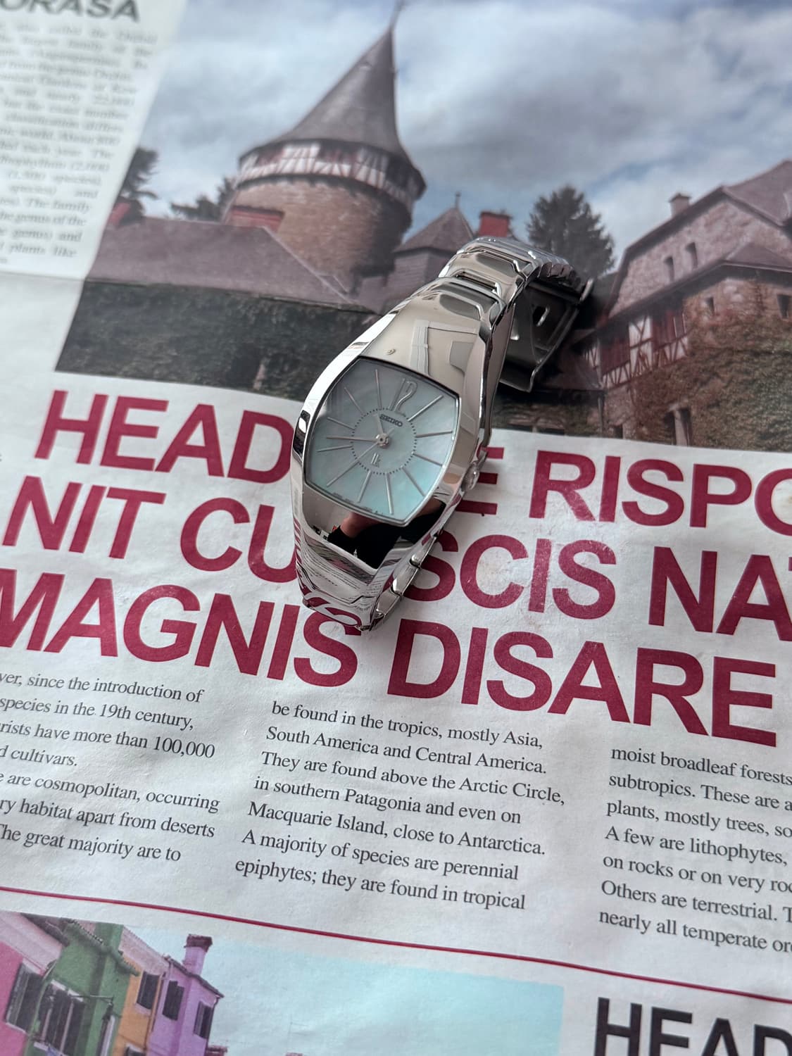 세이코 Seiko 쉘 실버 사파이어 상품이미지3