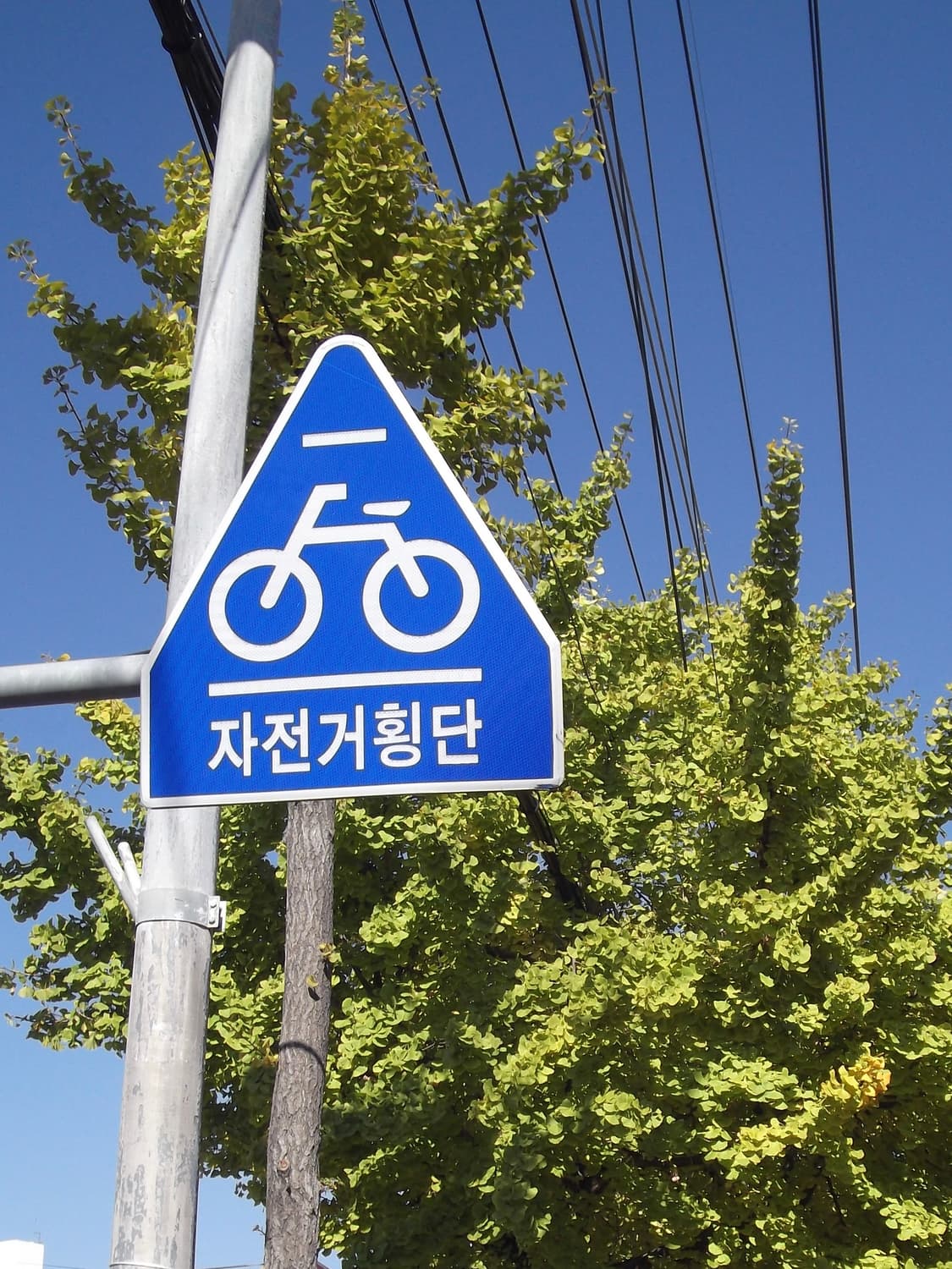 후지필름 파인픽스 jx280 핑크디카 상품이미지8