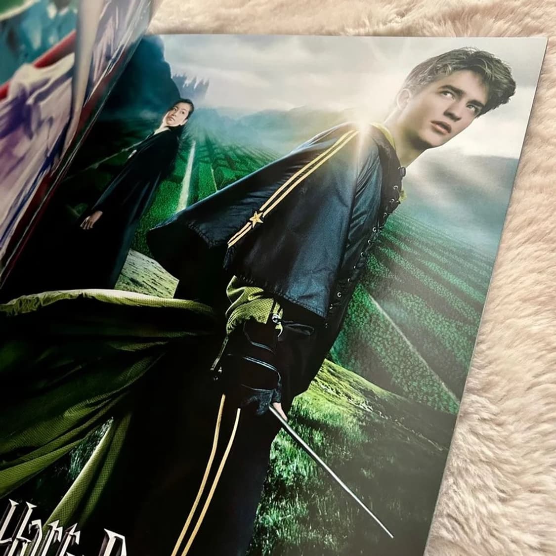 워너해외판 / 해리포터 포스터 콜렉션 40매 Harry Potter 상품이미지7