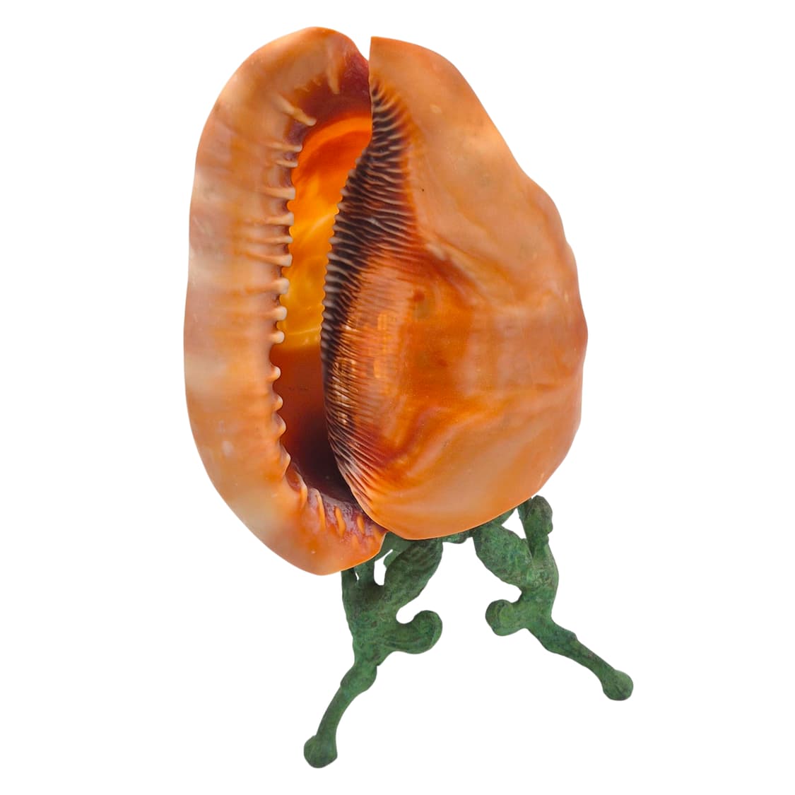 40s 이탈리아 엔틱 오리지널 조개 카메오 램프 상품이미지6