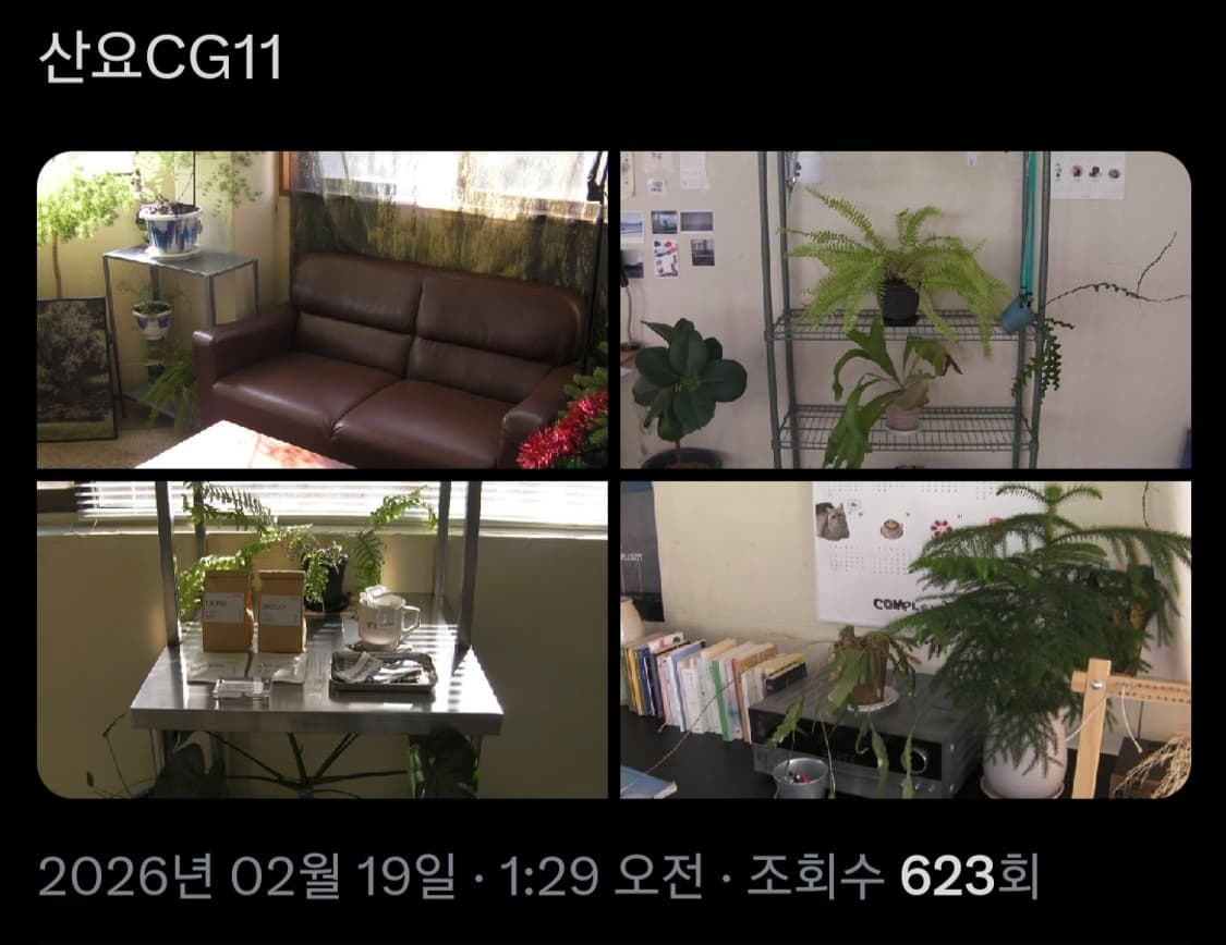 산요 작티 CG11 오렌지 핸디캠 디토 감성 디카 상품이미지7