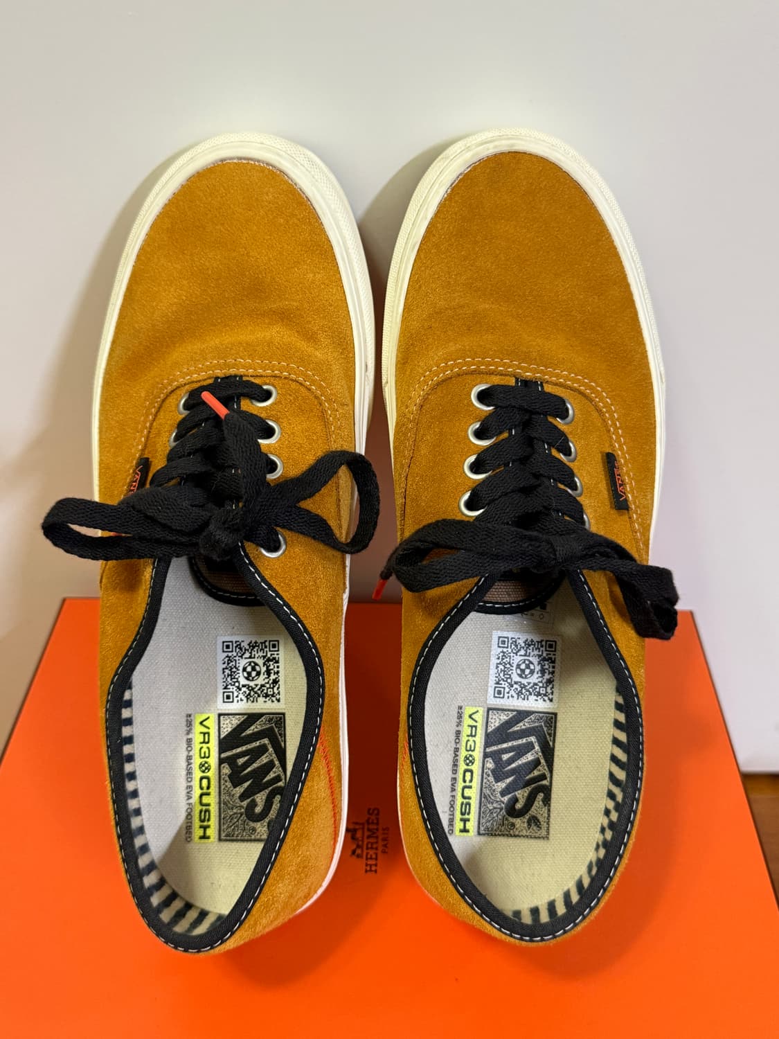 반스 그로쓰 가든 선플라워 상품이미지1