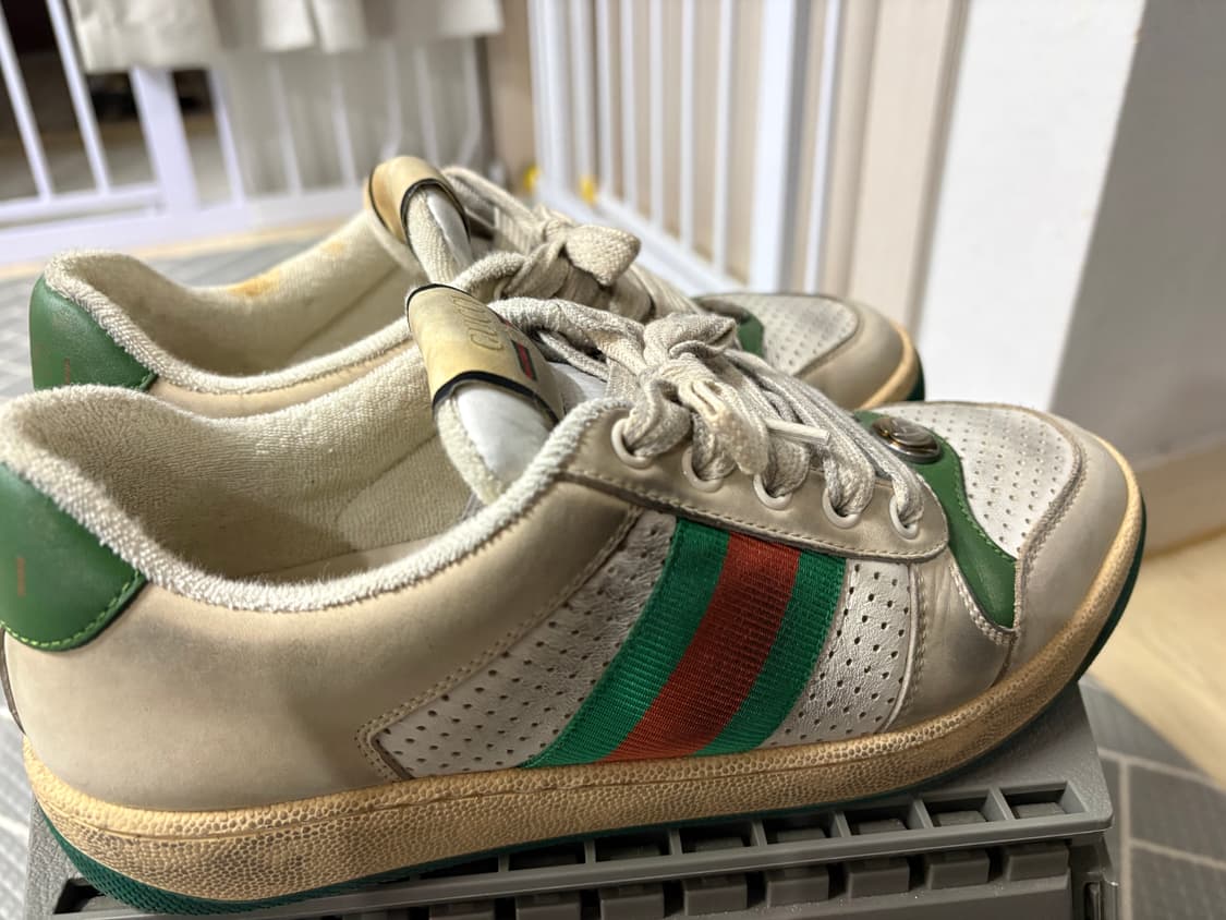 구찌 스크리너 스니커즈 그린 37 상품이미지4