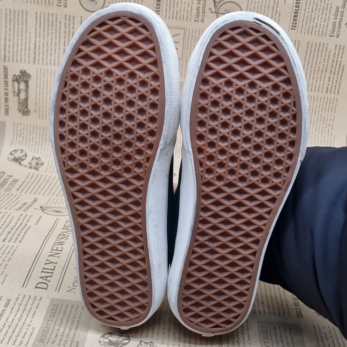 반스 스포츠로우 스니커즈255 상품이미지3