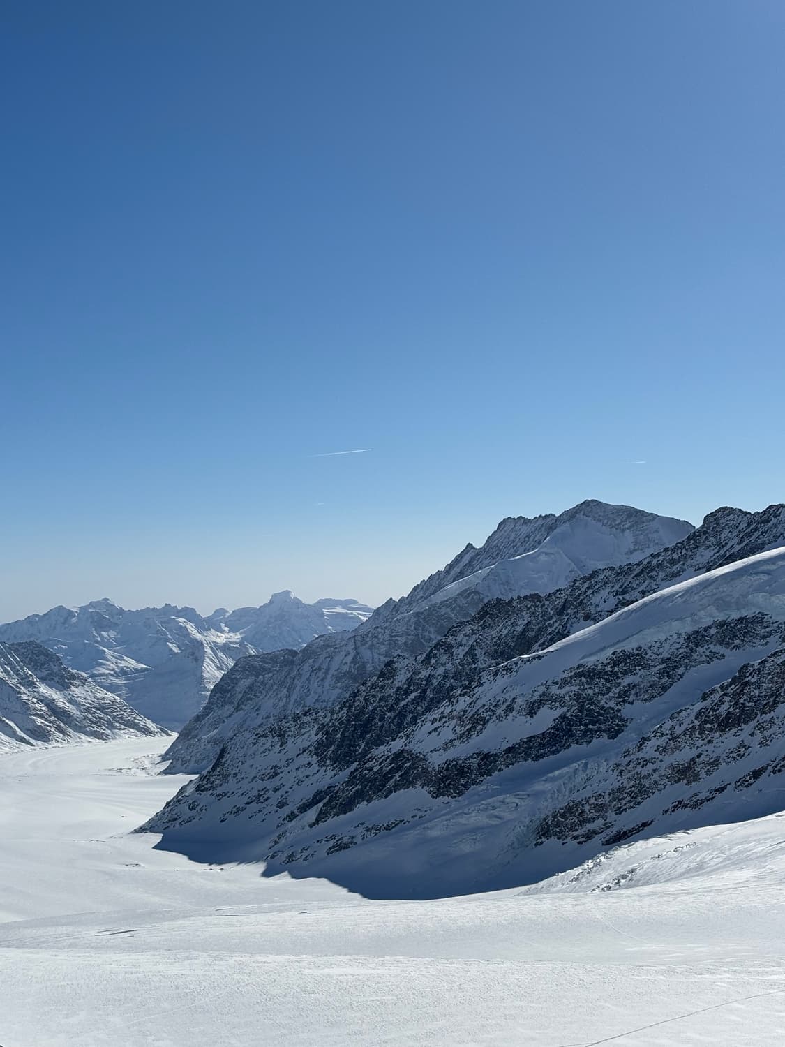 [국문택]바이레도 데저트 던 50ml 상품이미지1