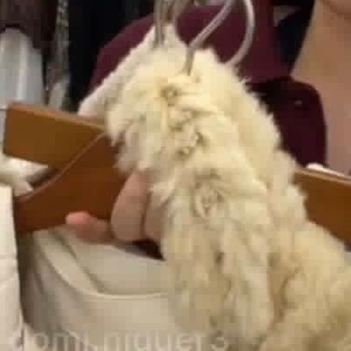 10/30 라방 구매건 상품이미지1