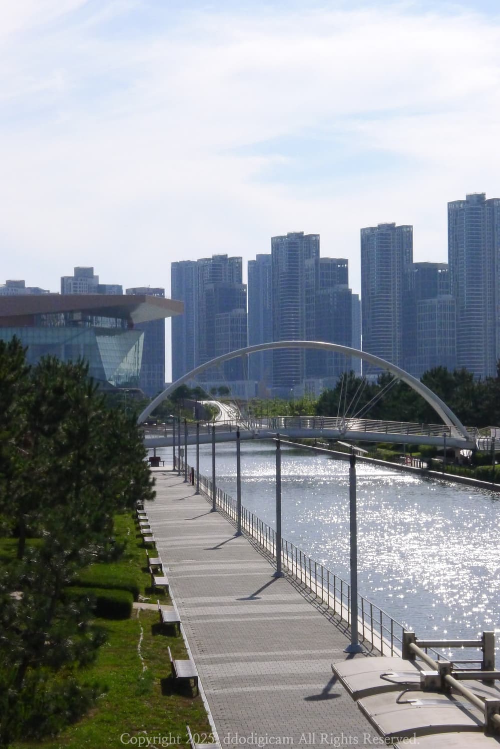 켄코 DSC800 빈티지 디카 상품이미지7