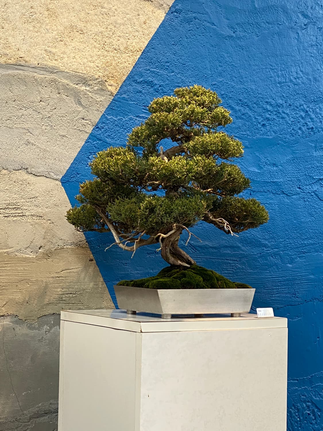 idsa8711 상품이미지1