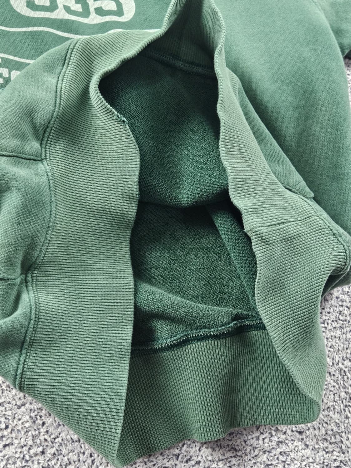 챔피온 콜로라도 포트 535 스웻 후드티셔츠 ( L ) / 11320 상품이미지10