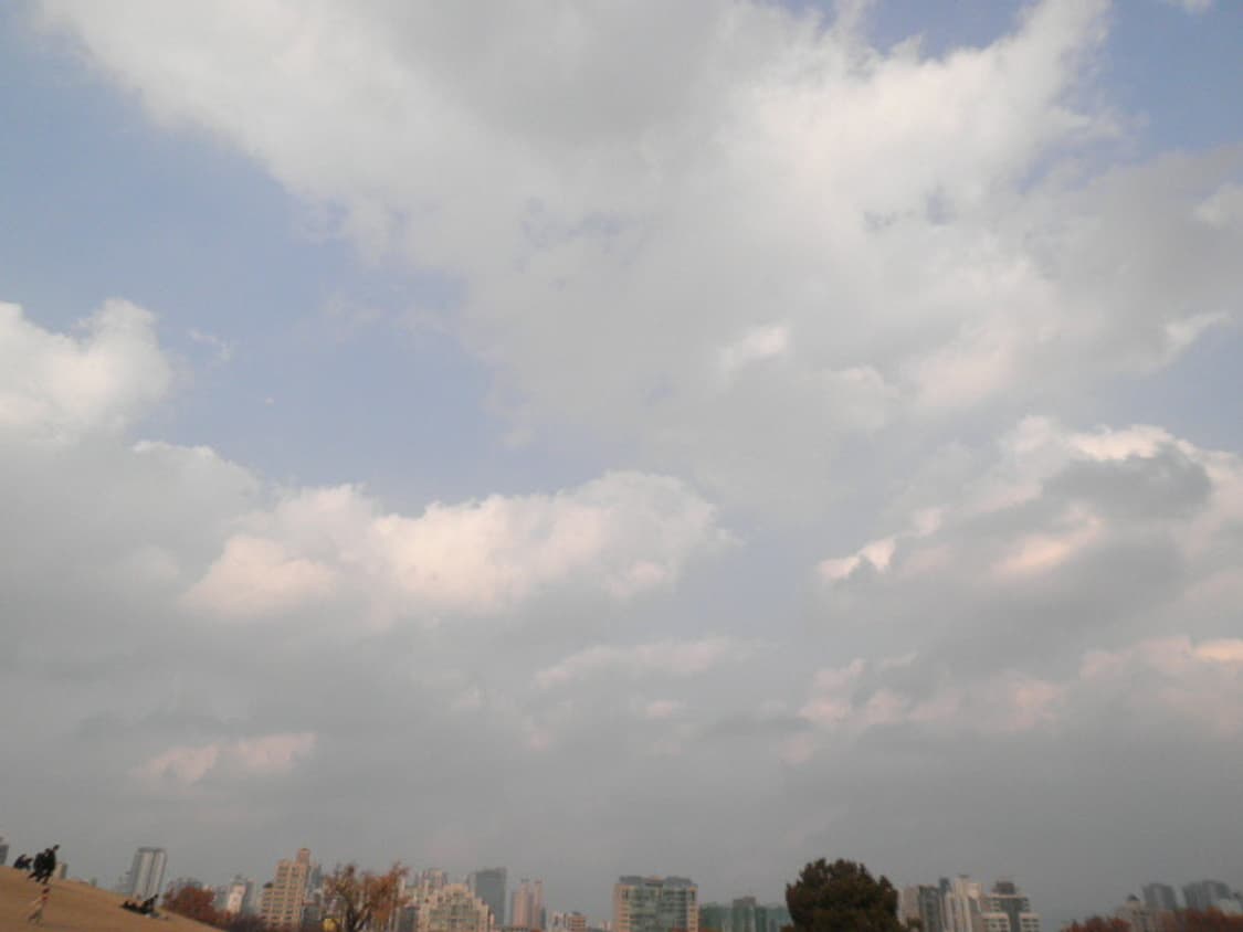 [작례o]카시오 엑슬림 ex-z1080 ,z1050 디카 은채디카 상품이미지10