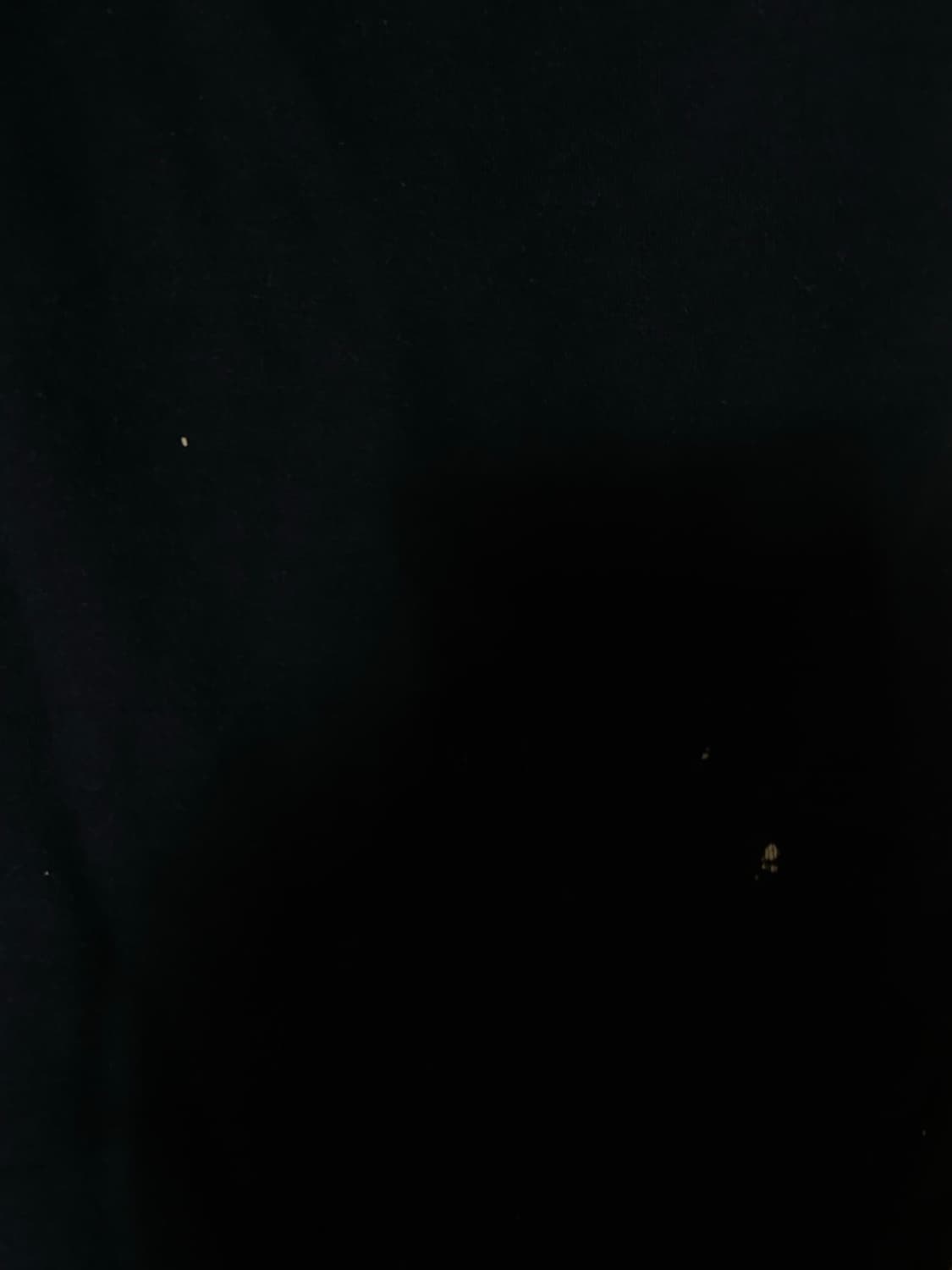 해골 후드집업 상품이미지2