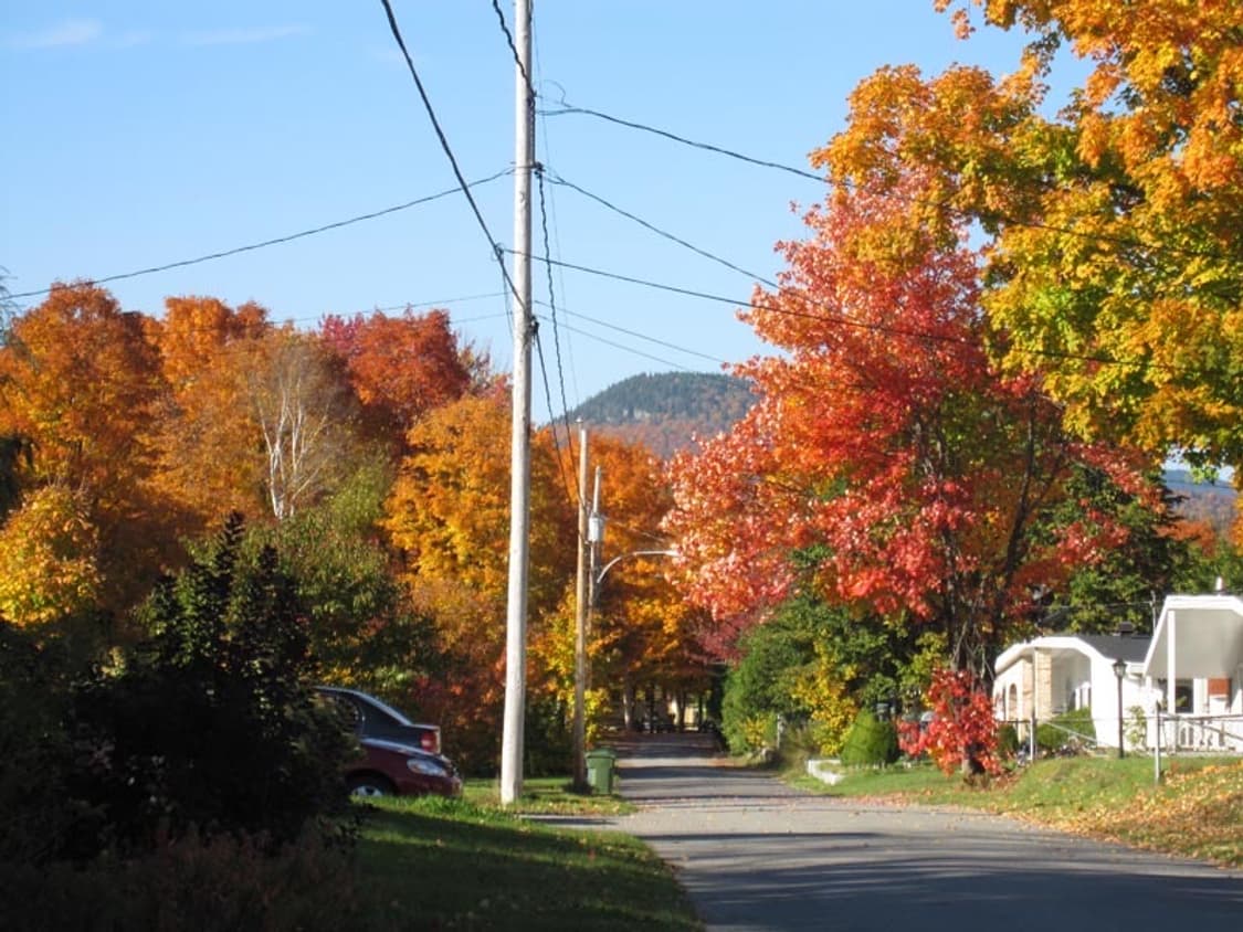 Canon IXUS 110 IS(캐논 익서스 110 IS) 상품이미지7