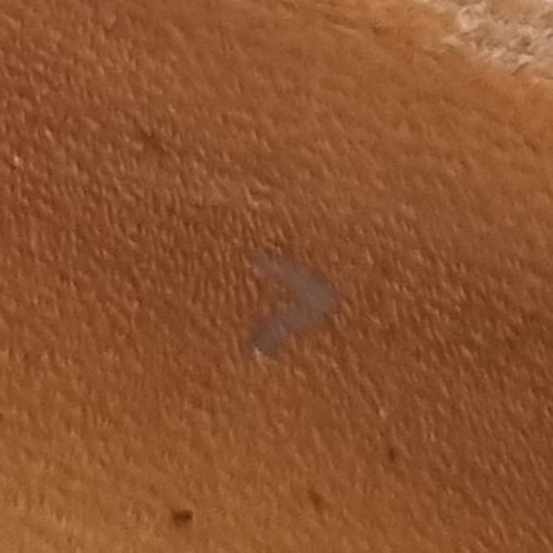 o 정품 구찌 남성로퍼 실사이즈 265 상품이미지6