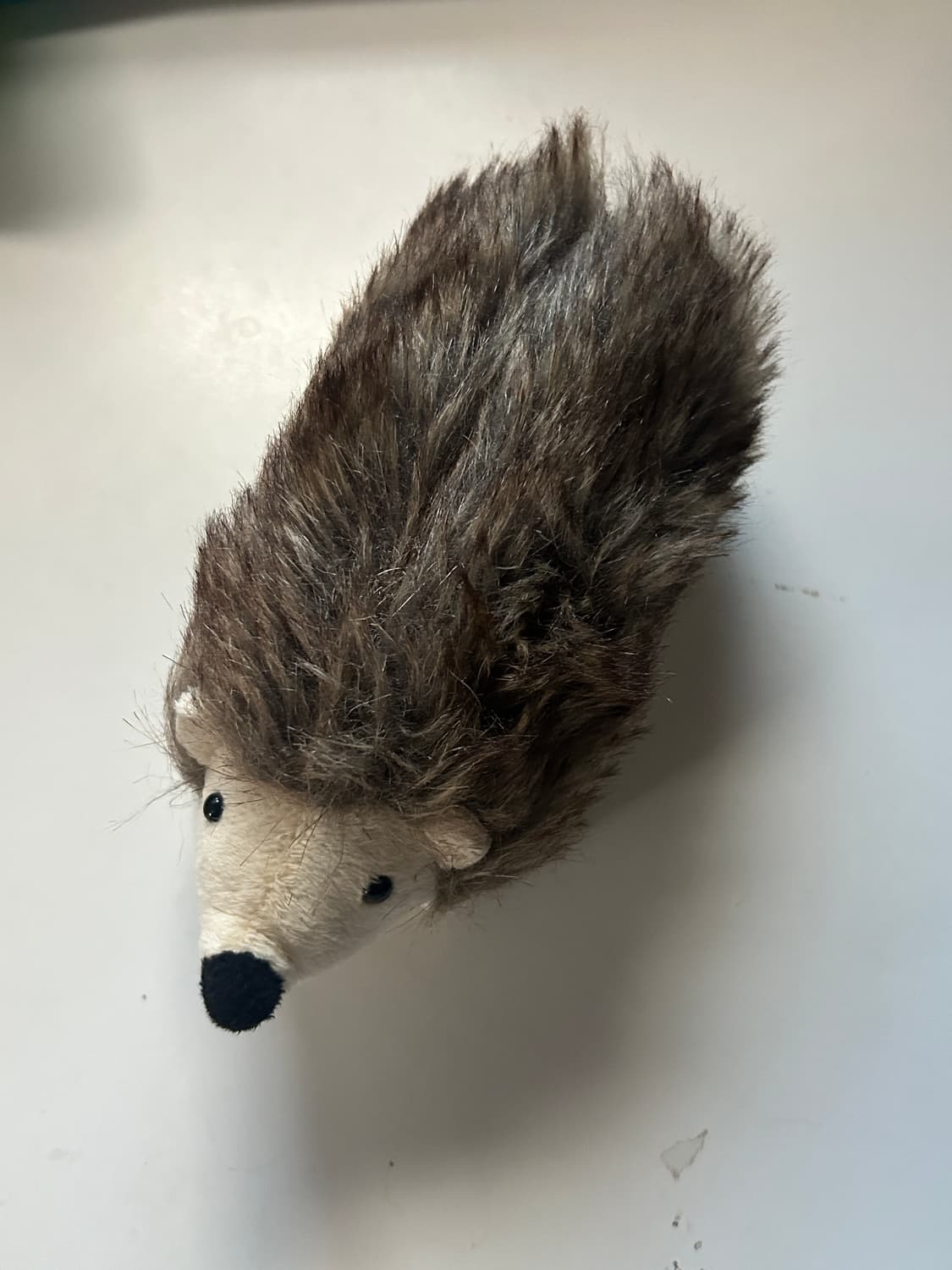 고슴도치 안경케이스  상품이미지2