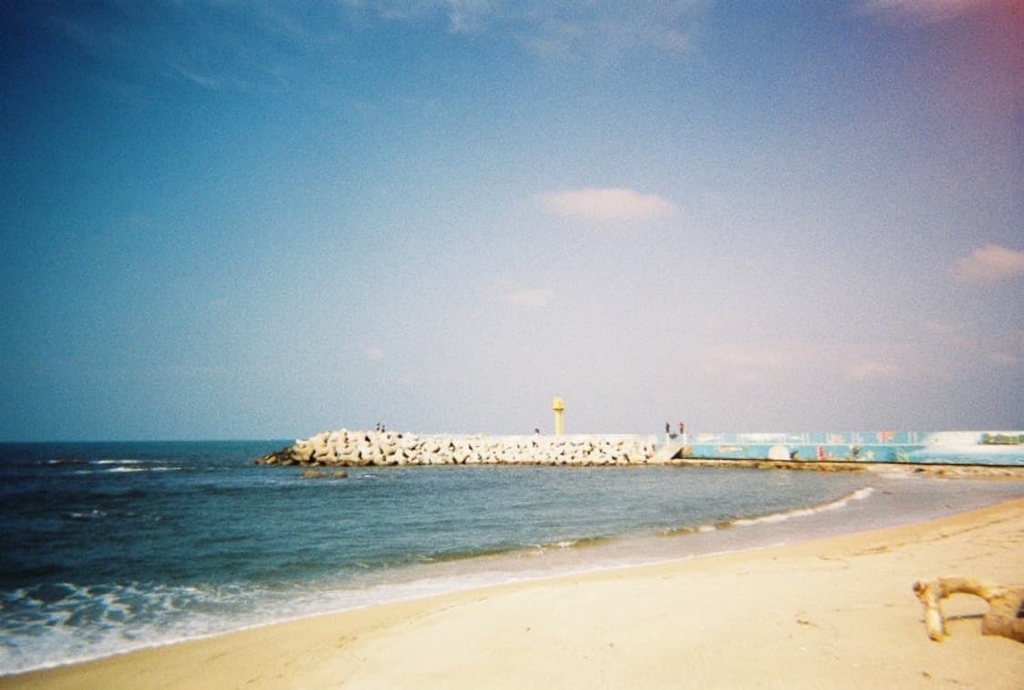 코닥 필름카메라 m35 상품이미지4