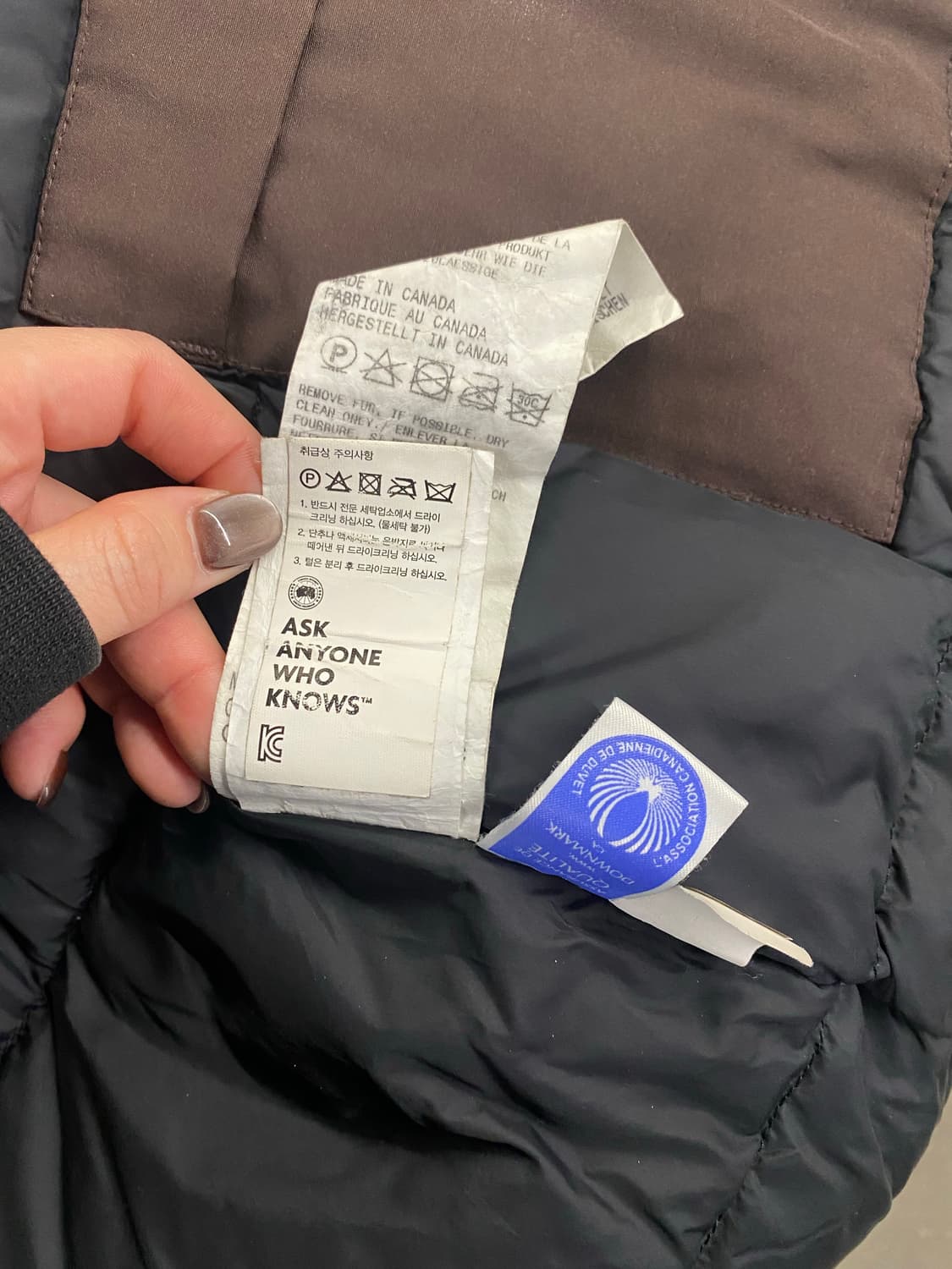 캐나다 구스 빅토리아 다운 파카 브라운 여성M 상품이미지6