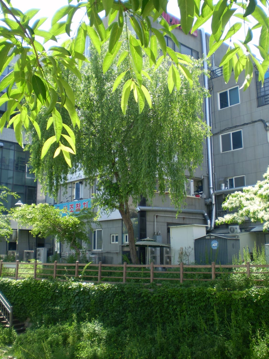 올림푸스 fe-220 상품이미지6
