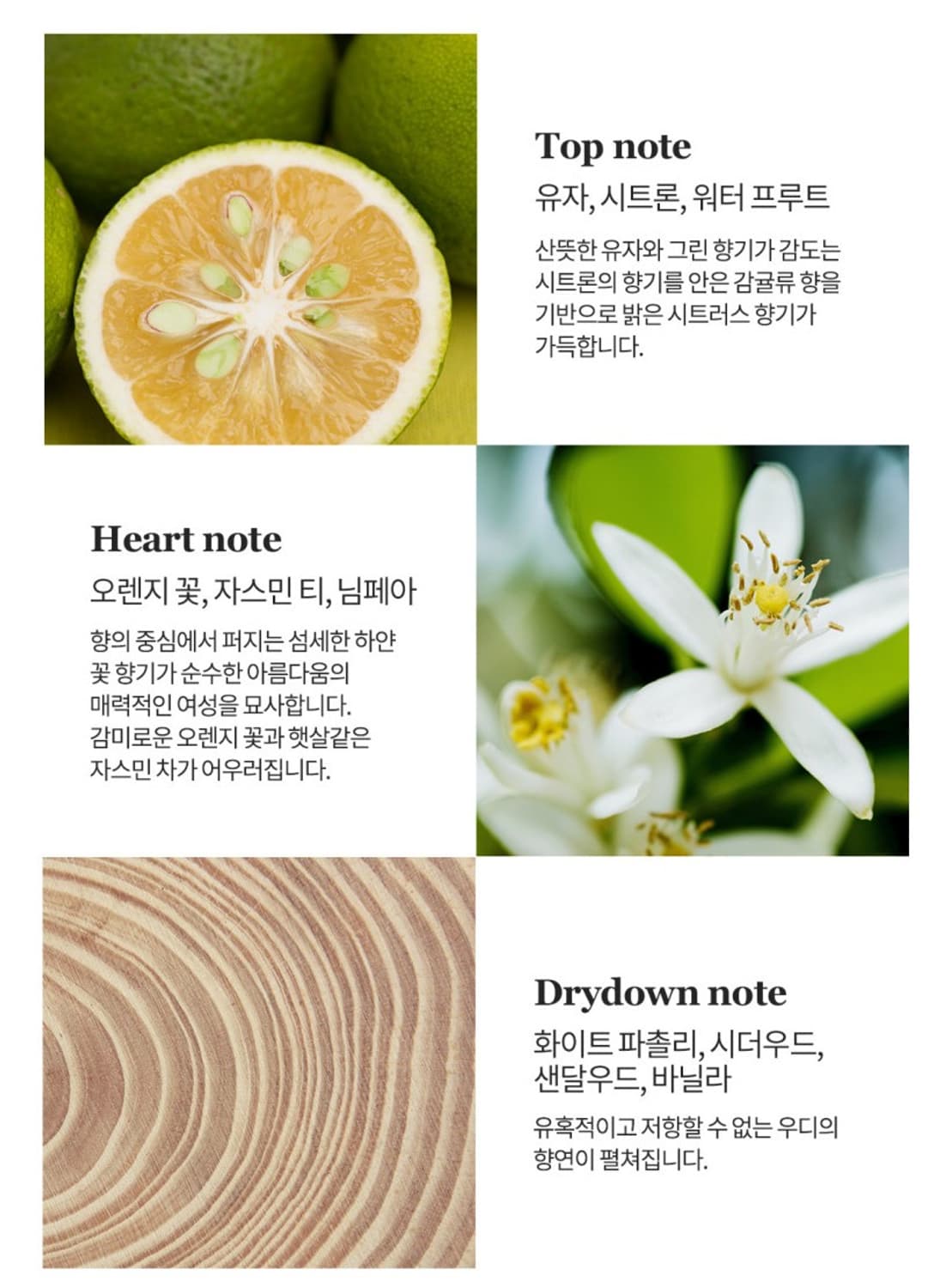 트루사르디 돈나 오드퍼퓸 100ml 상품이미지5