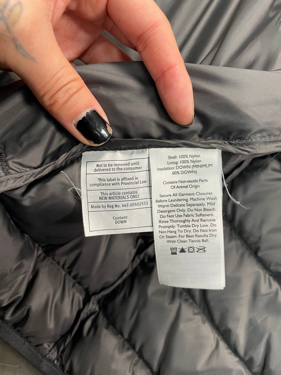 에디바우어 경량 후드 패딩 상품이미지7