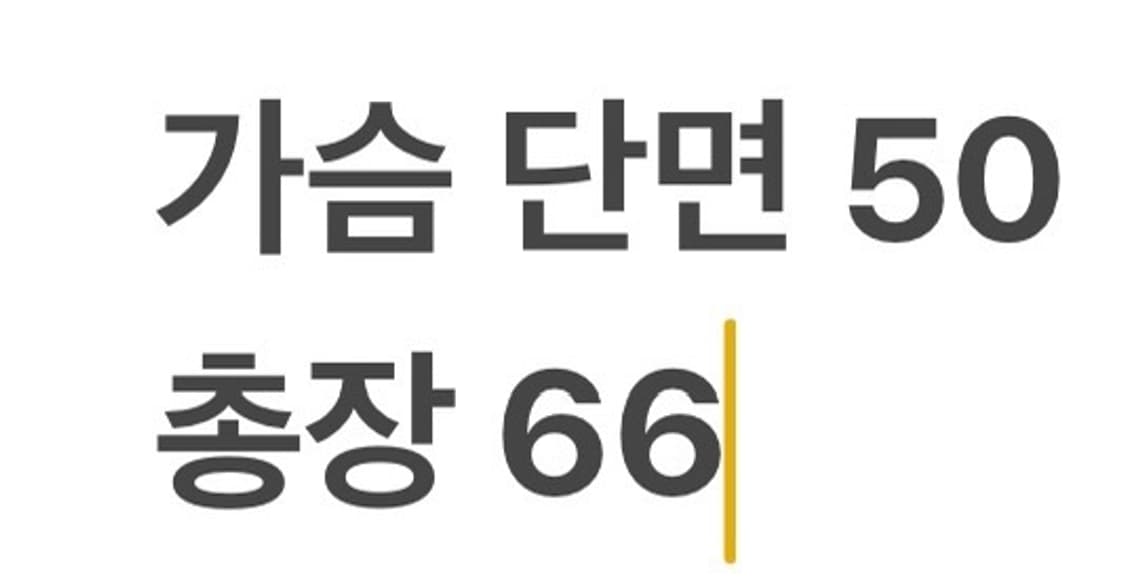 [정품/95] 아디다스 올드스쿨 스탠스미스 도트 져지 b8 상품이미지8