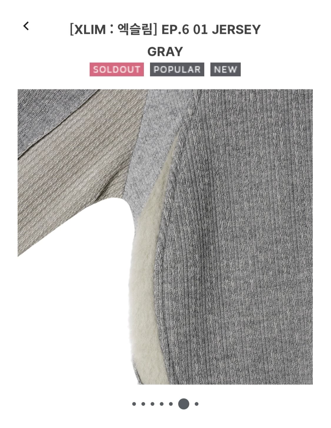 XLIM EP6 JERSEY GRAY 상품이미지6