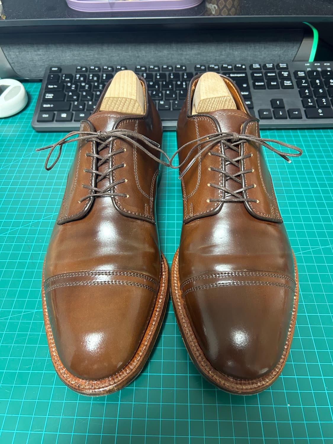 알든 컬러4 코도반 캡토 더비 상품이미지1