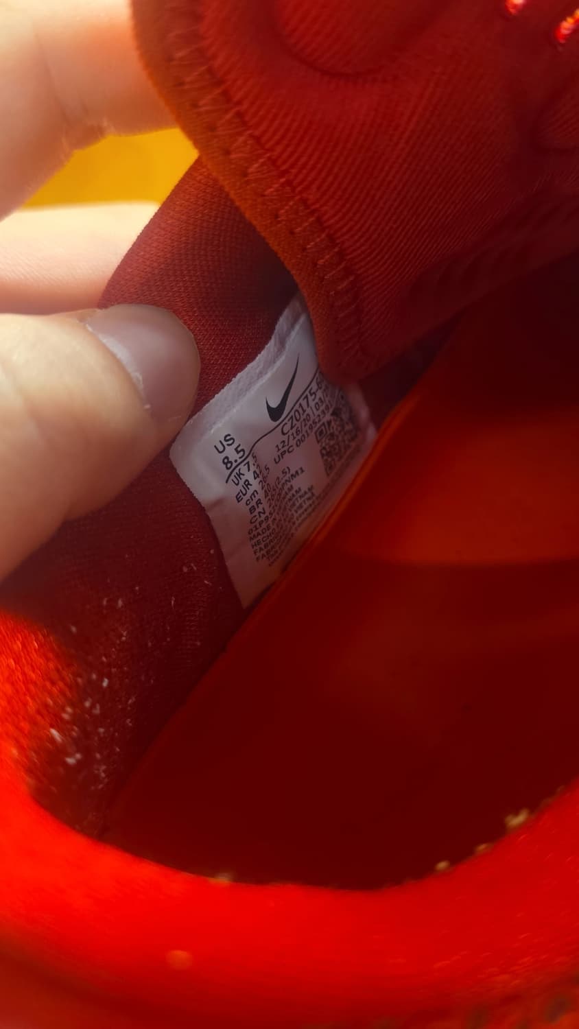 지티컷 1 USA 265 상품이미지5