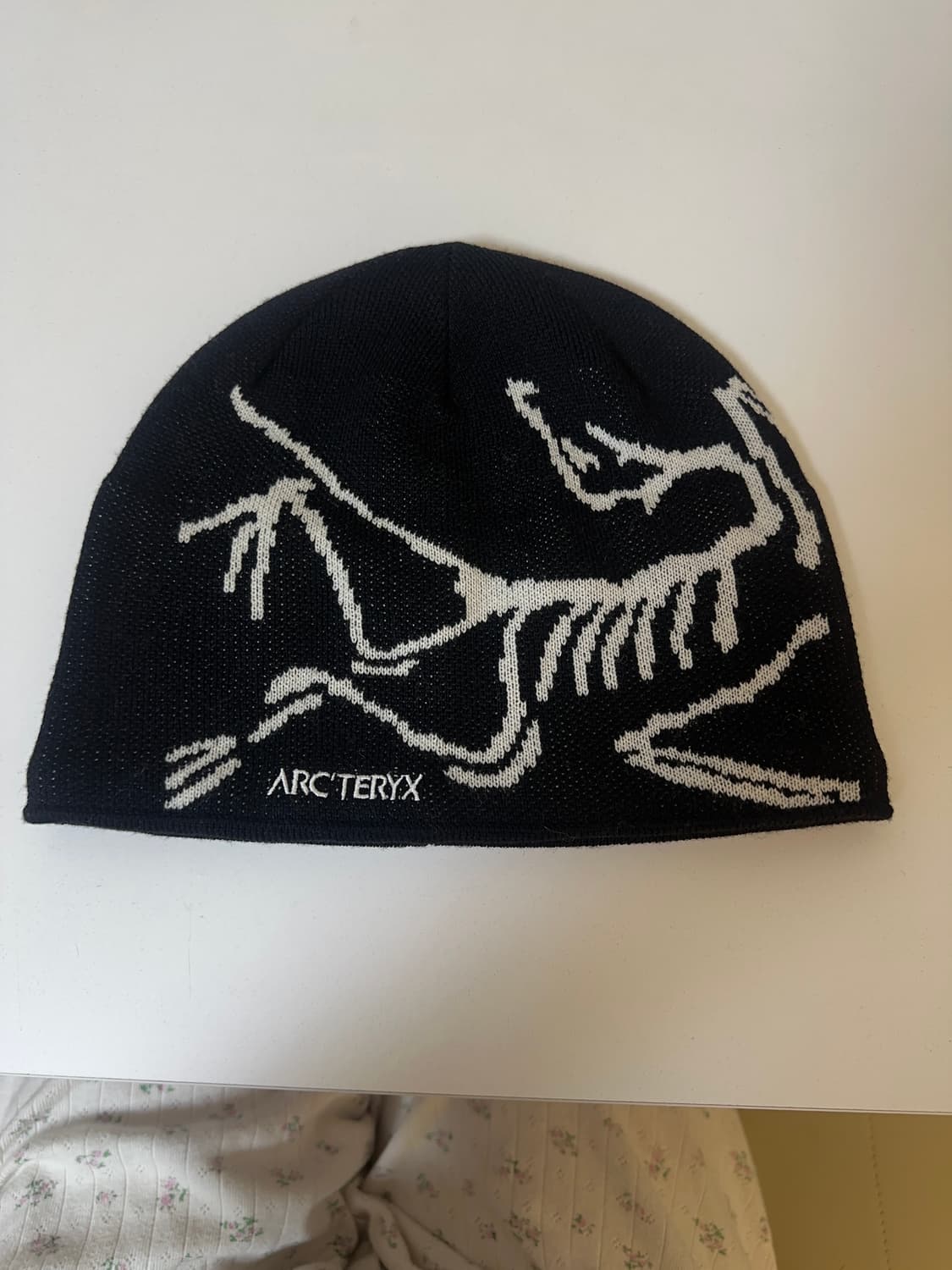 아크테릭스 비니  상품이미지1