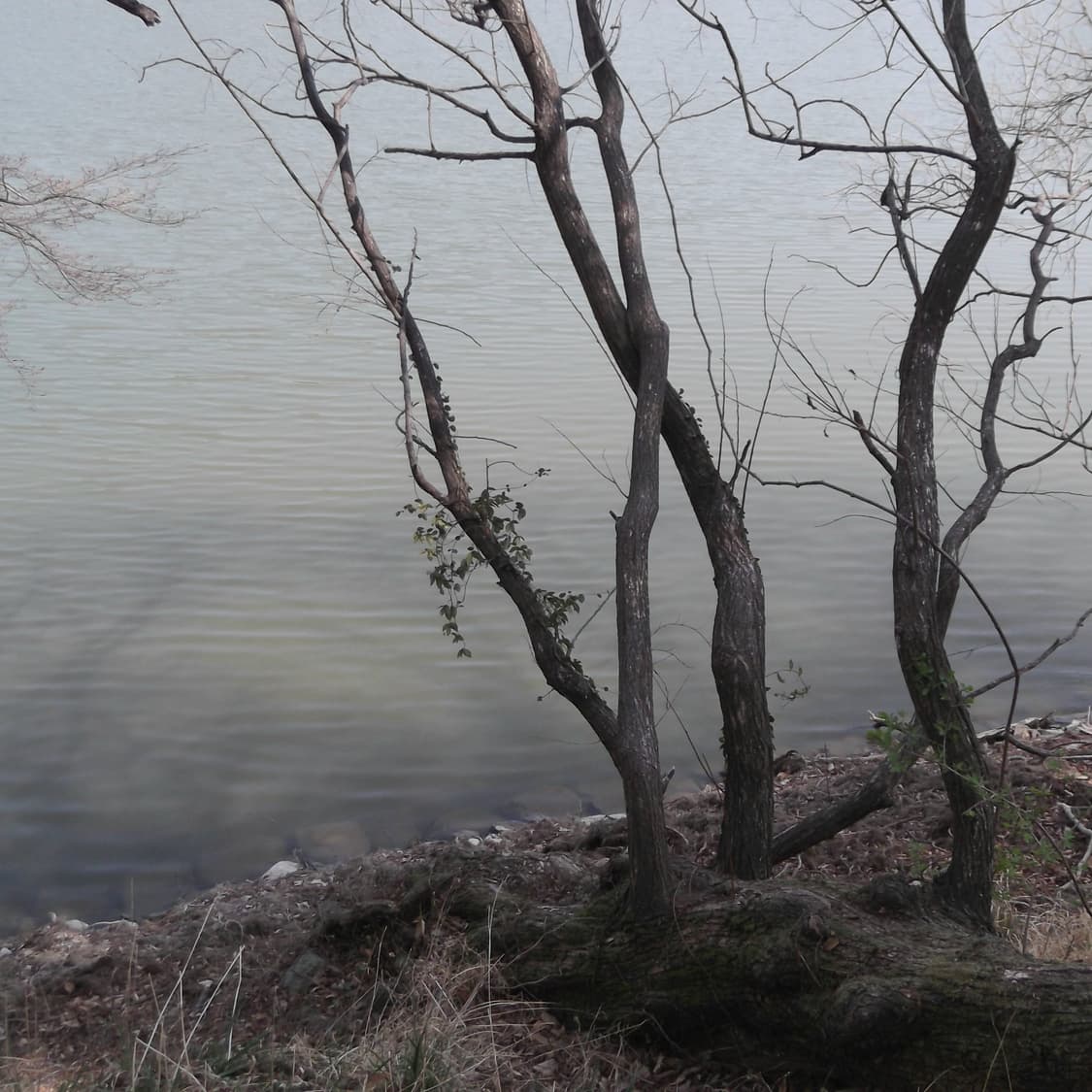 후지필름 파인픽스 T300 풀박스(작례o) 상품이미지8