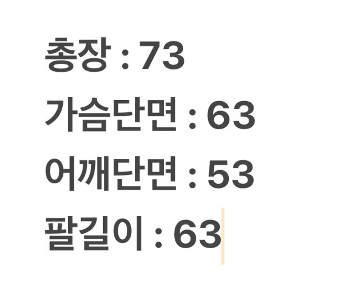 [ 정품/105 ] 노스페이스 고어텍스 후드 바람막이 자켓 상품이미지7