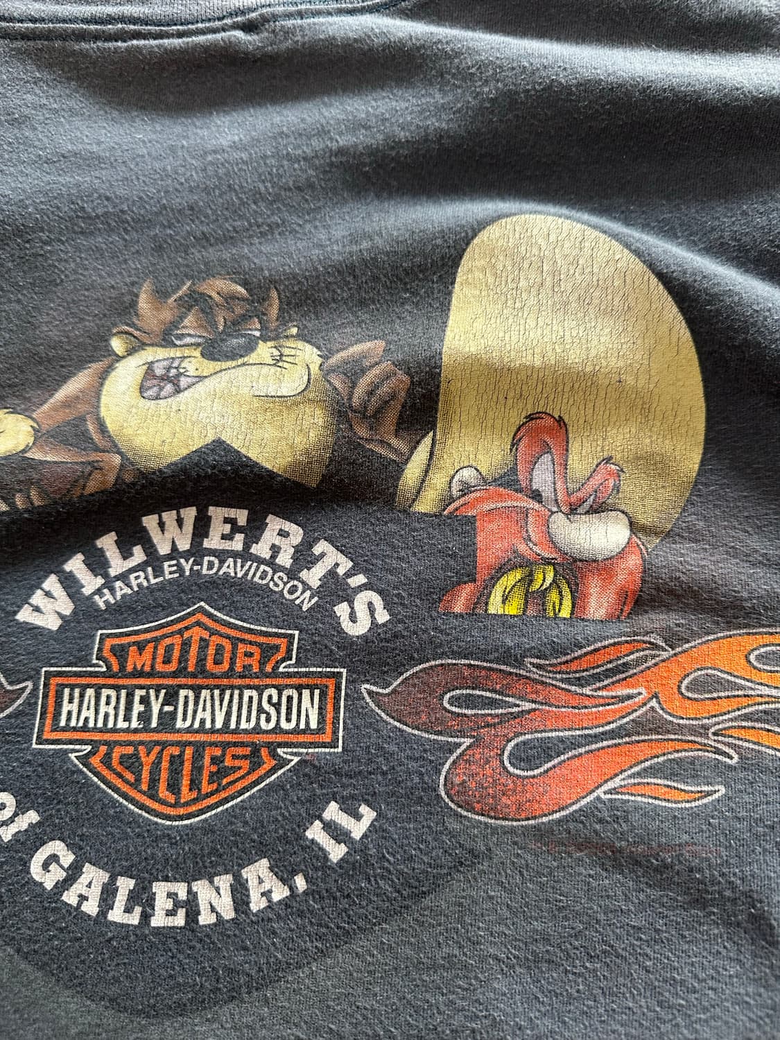 할리데이비슨 x 루니툰즈 태즈&코요테 티셔츠 - 2XL 상품이미지8