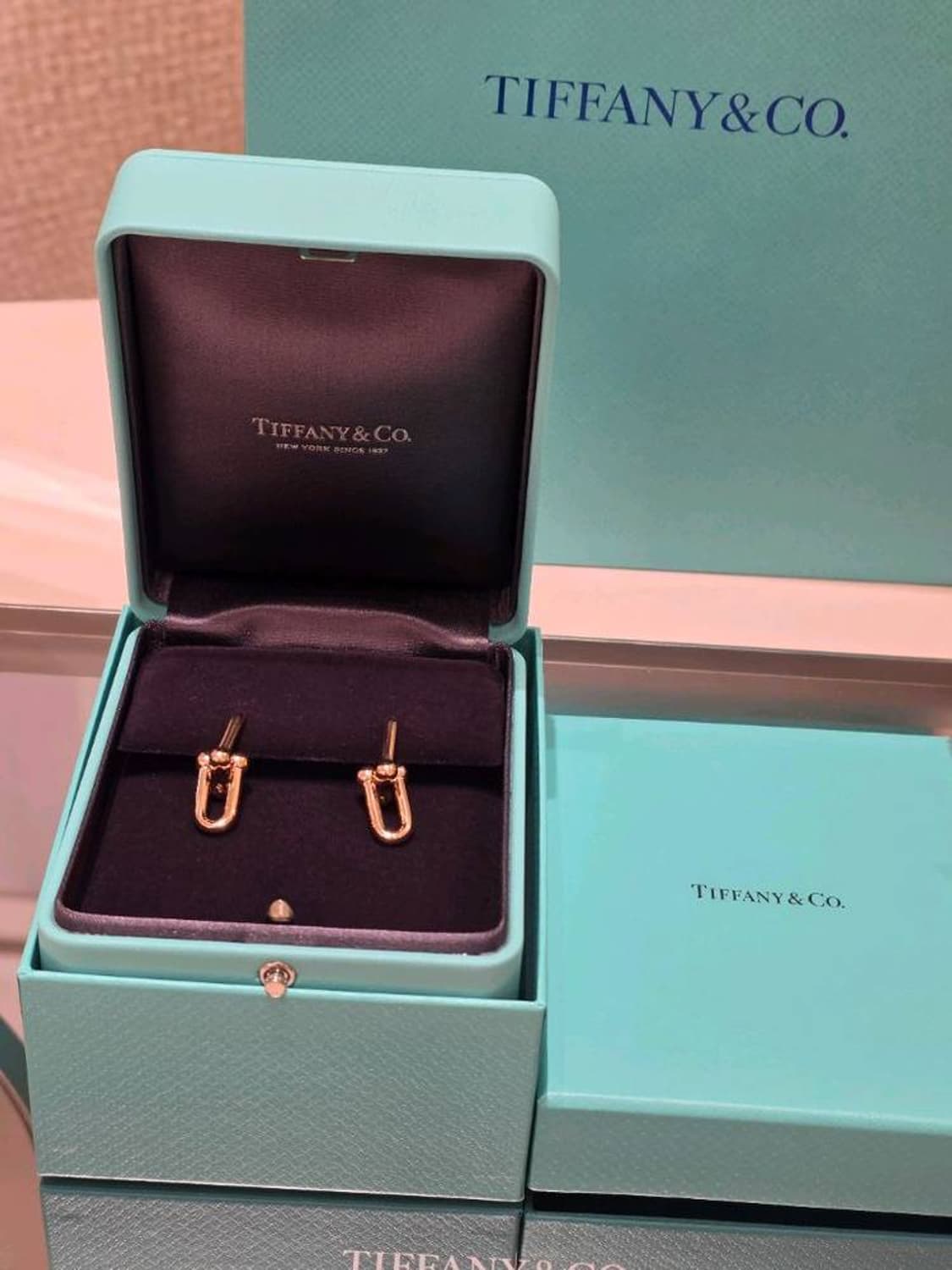 파니앤코 하드웨어 링크 이어링 미디움 사이즈 상품이미지3