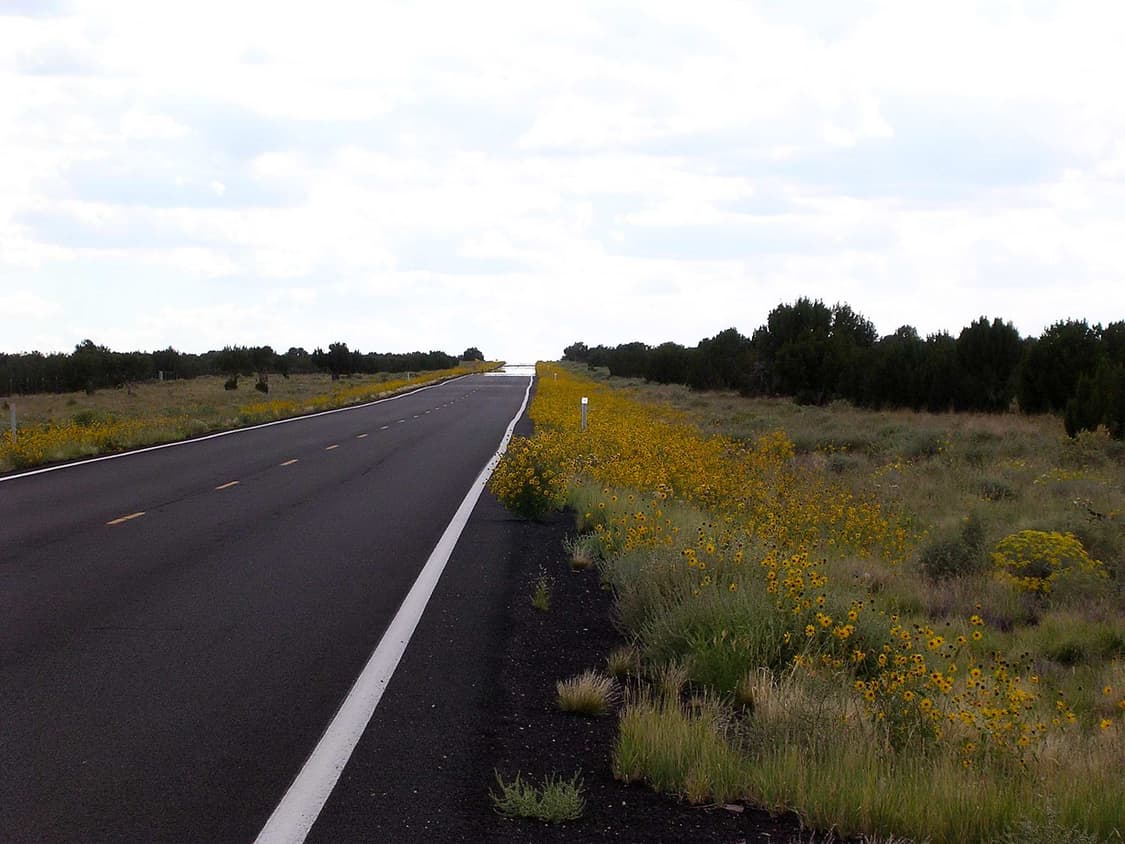 작례O 초소형 디카 니콘 쿨픽스 3100 디지털카메라 빈티지 카메라 상품이미지5