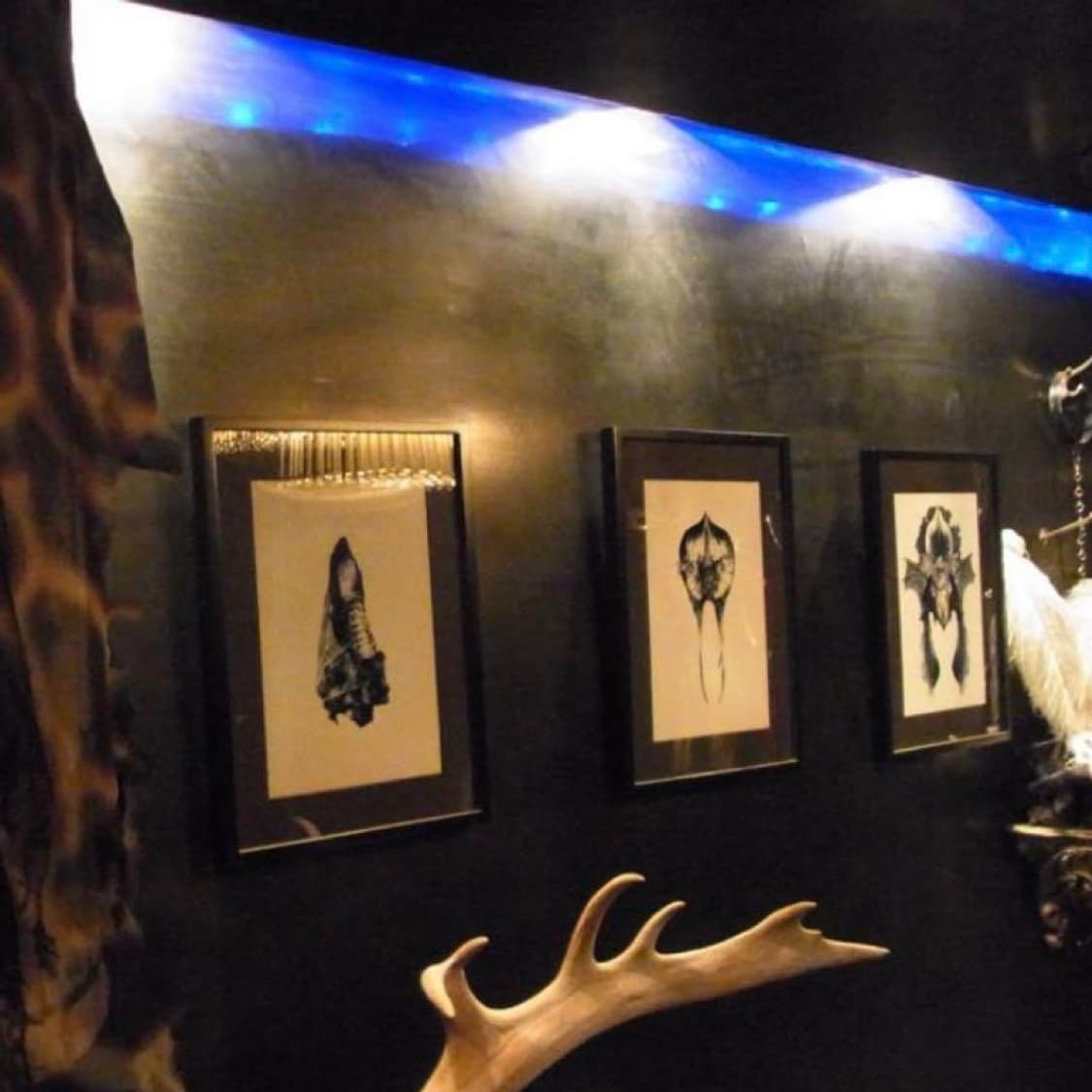 If Six Was Nine (L.G.B) Bed Rock 상품이미지3