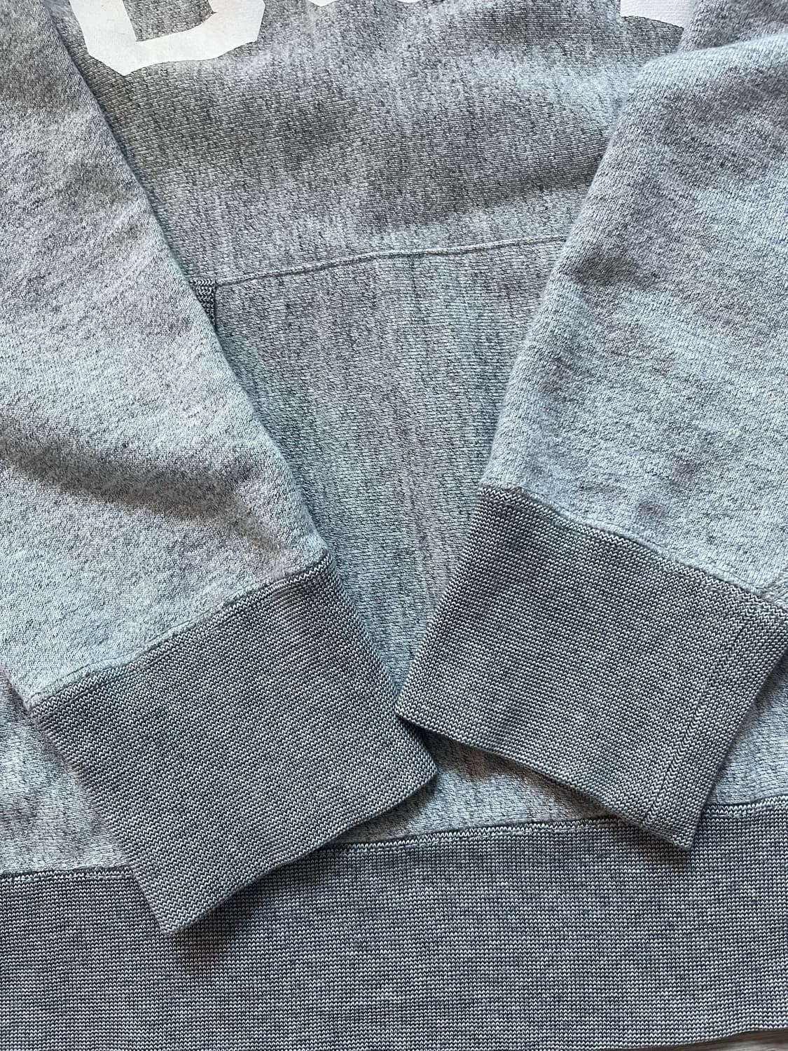 챔피언 리버스 위브 후드티 상품이미지4