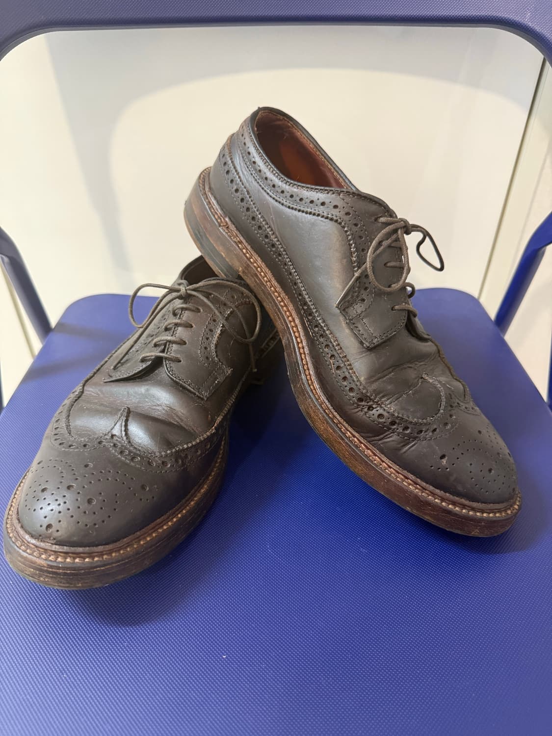 Alden Longwing Blucher Brown Chromexcel 상품이미지7