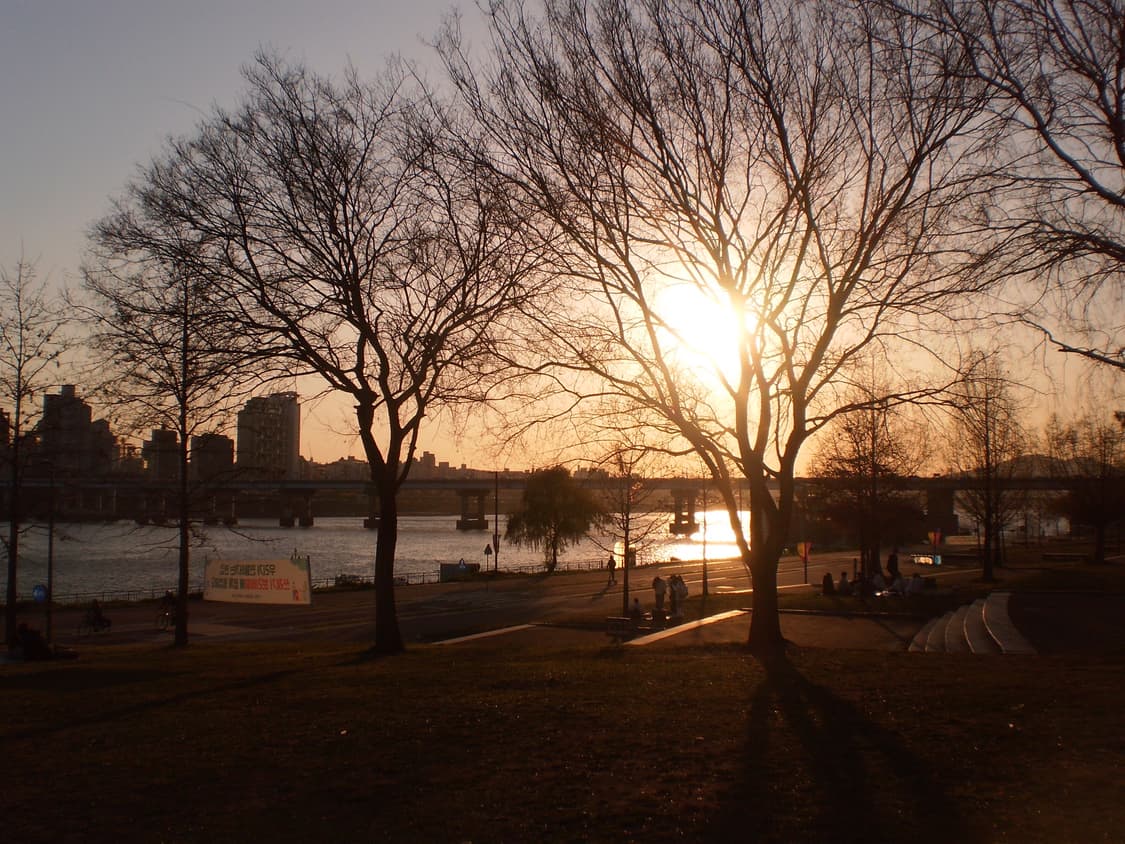 올림푸스 fe360 디지털 카메라 (작례ㅇ 상품이미지6