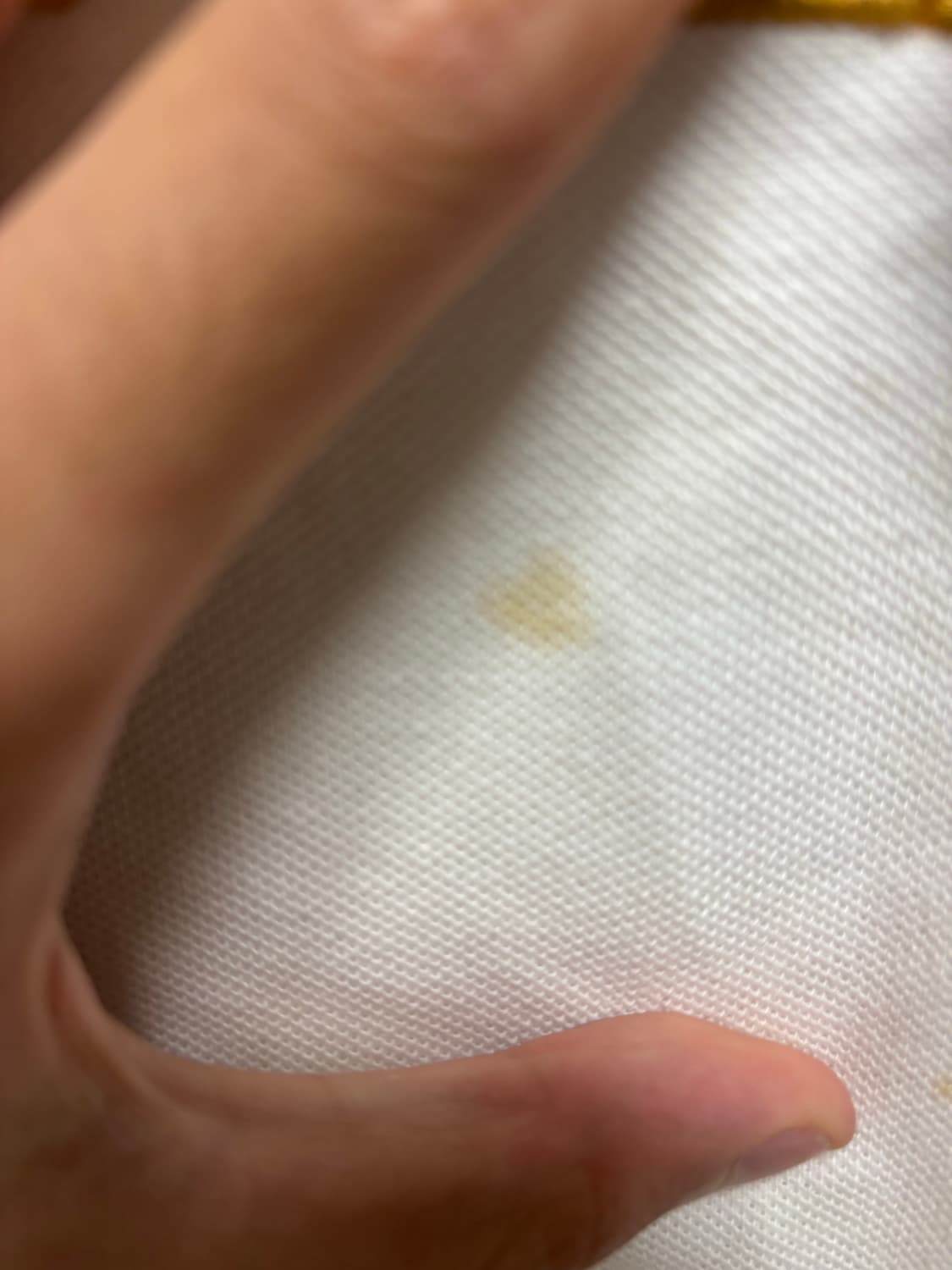 폴로 카라티 팝니다 상품이미지2