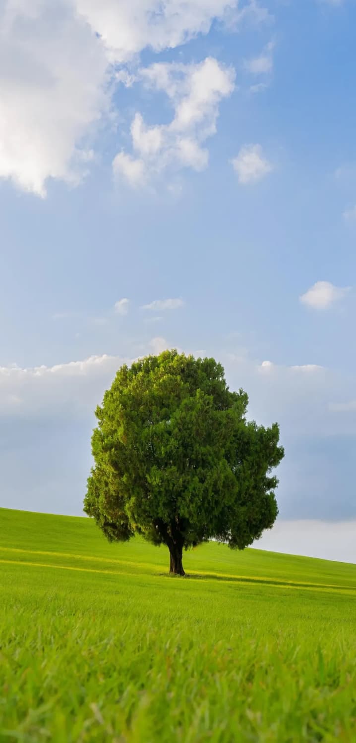 나이키 후드집업 상품이미지1