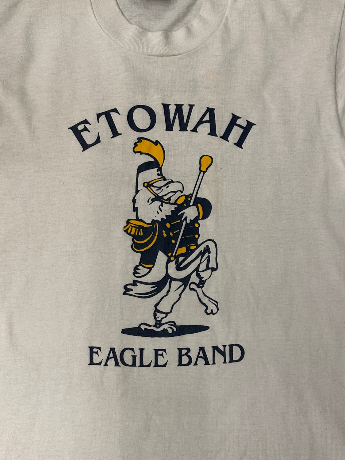 90s 50/50 USA프룻오브더룸 Etowah 이글 밴드 반팔 티셔츠M 상품이미지2