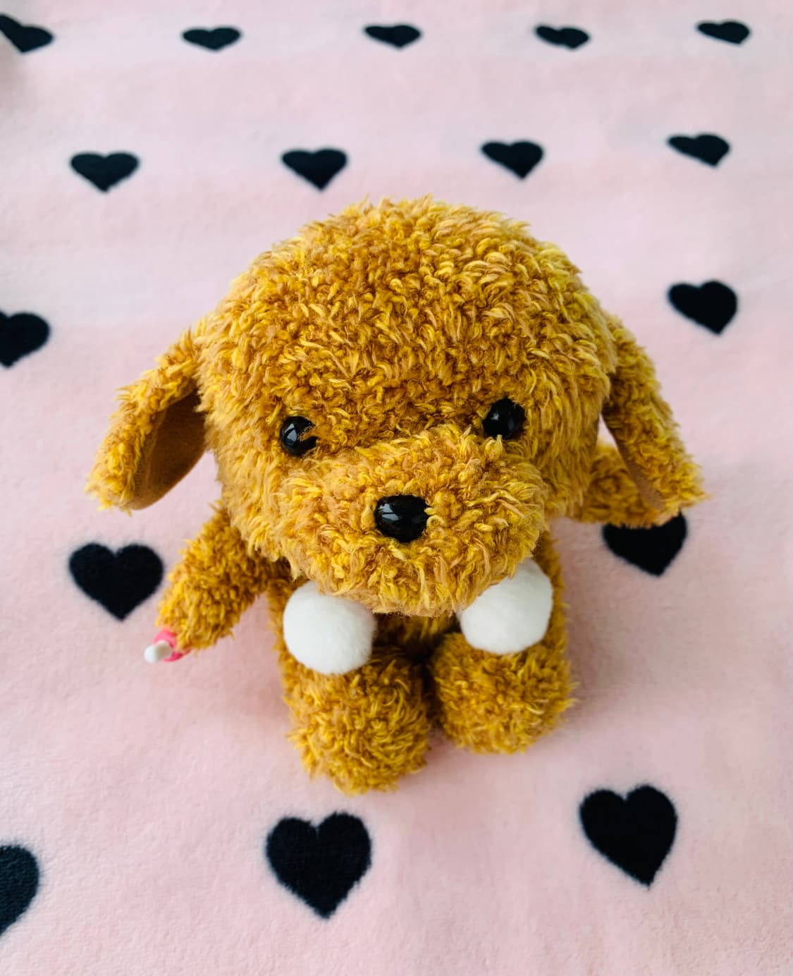 🐶고전 애니멀 푸들 몬치치 상품이미지2