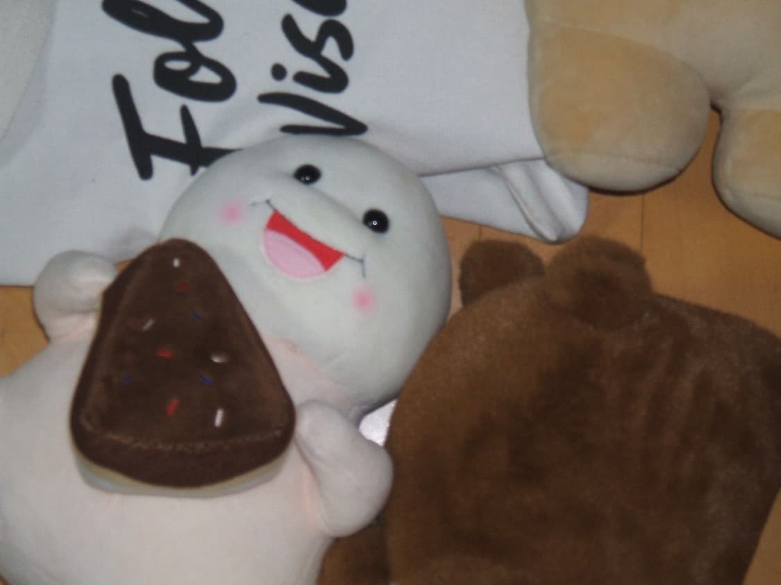 풀구성 Fujifilm Finepix A500 후지필름 파인픽스 디카 상품이미지10