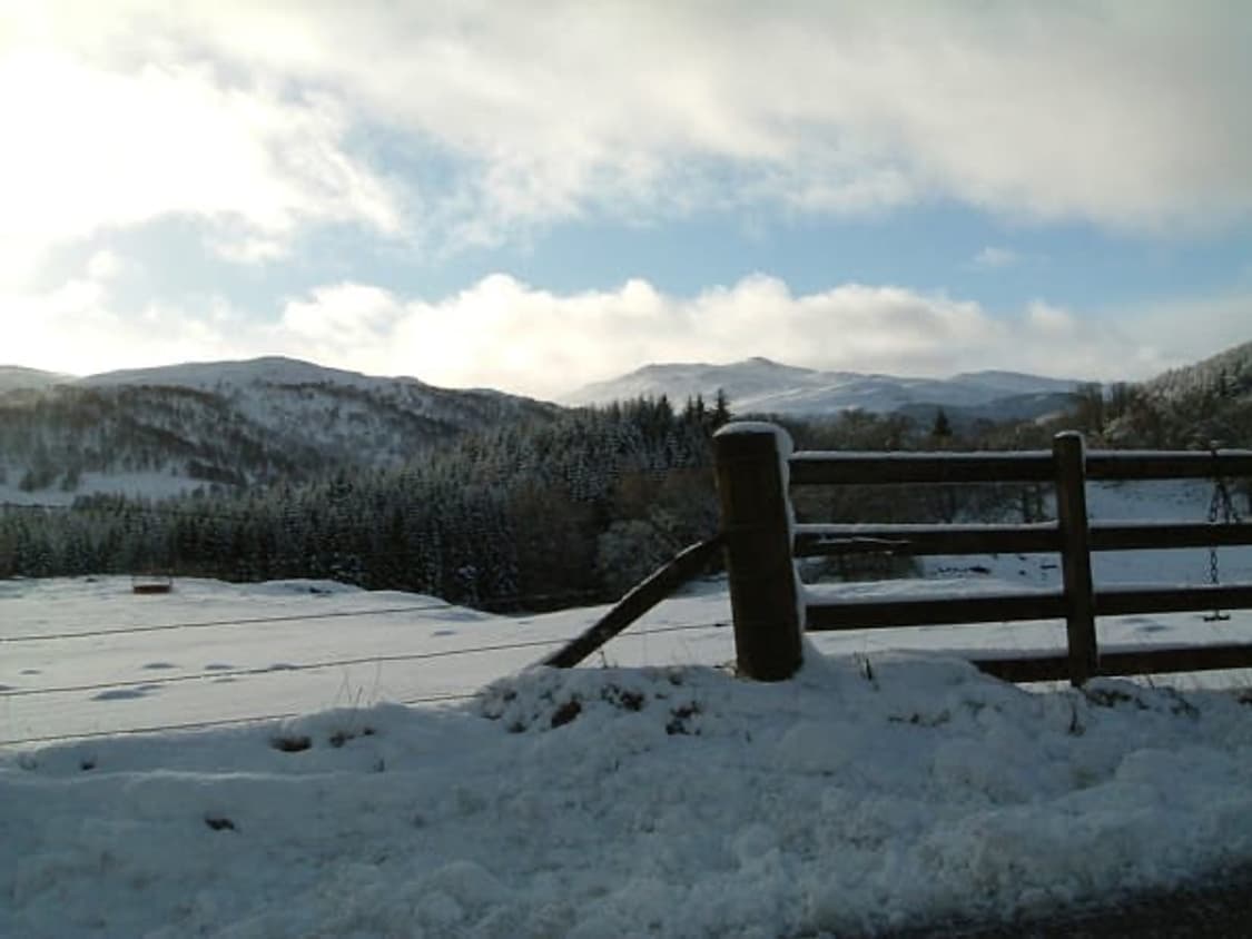 (레어디카) 후지필름 FUJIFILM F401 빈티지 디카 상품이미지7