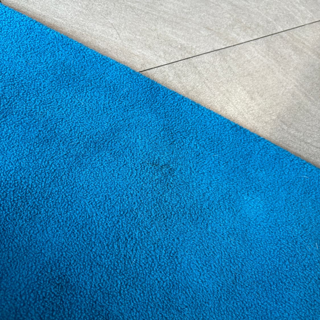 파타고니아 정품 블루 신칠라 스냅티 상품이미지7