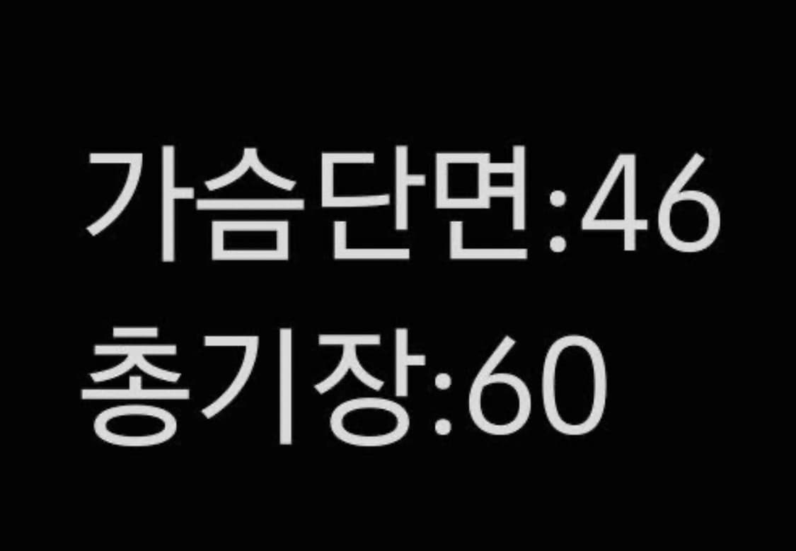 [정품/80] 노스페이스 여성 구스다운 경량패딩 상품이미지6