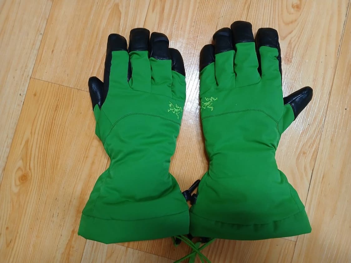 Arc'teryx Fission Globe. GORE-TEX. 넬슨 정품 상품이미지1